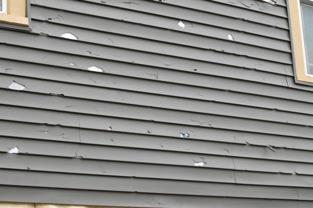 Best Wood Siding Installation  in White Pigeon, MI