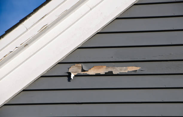 Professional Siding Installation & Repair in White Pigeon, MI